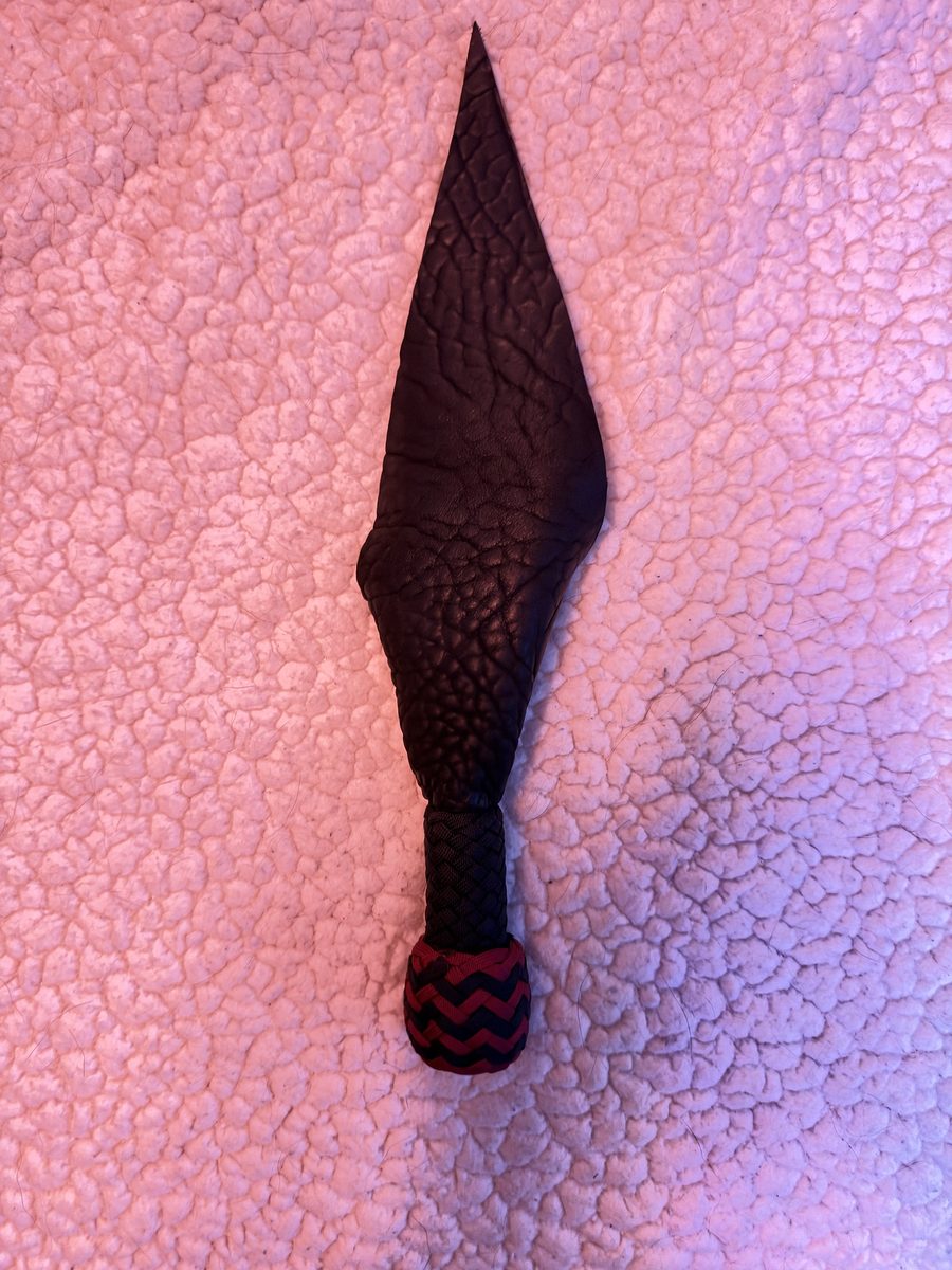 Little snapper dragon tail